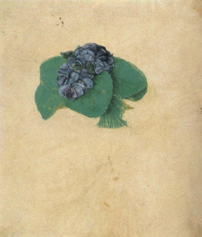 Albrecht Durer A Nosegay of Violets oil painting image
